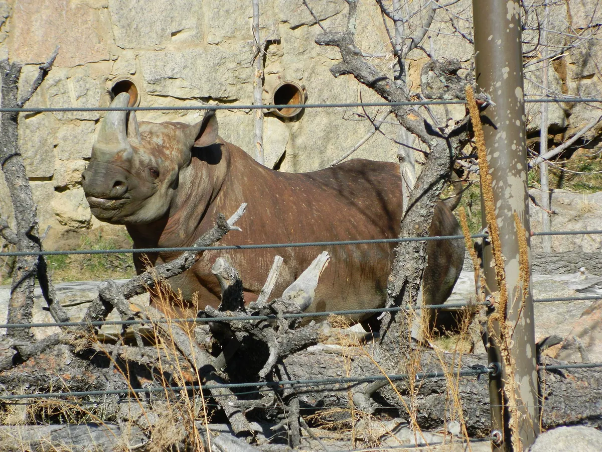 Cheyenne Mountain Zoological Park