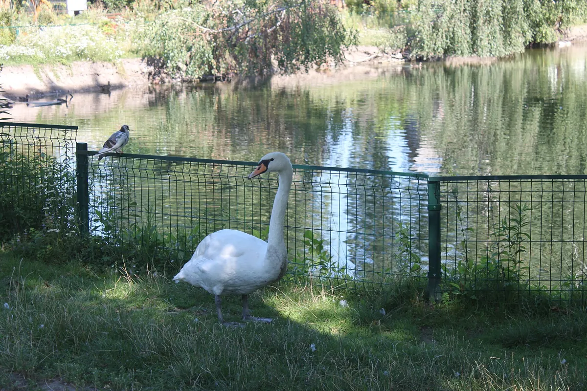 Lutsk Zoo