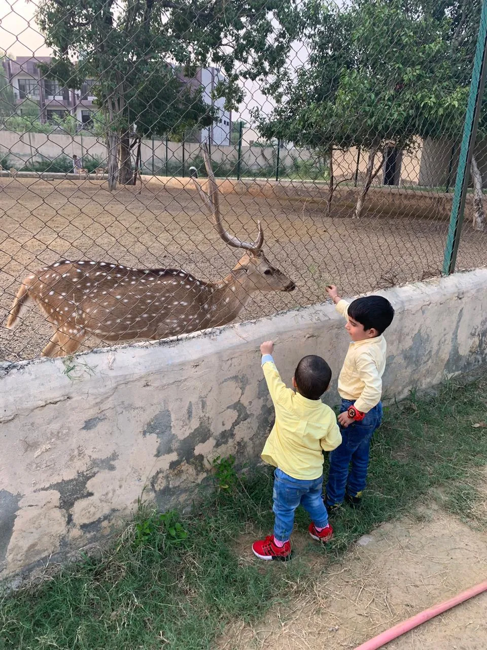 Rohtak Zoo