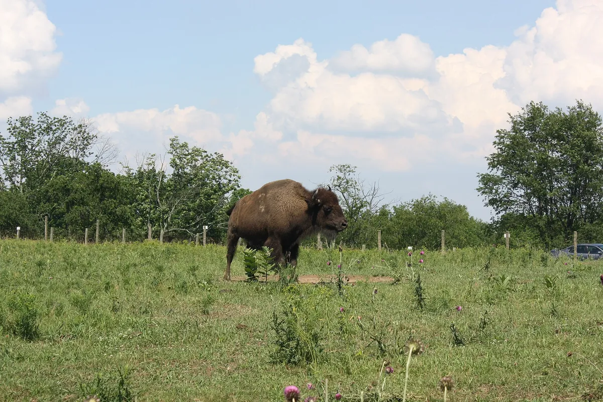 Lehigh Valley Zoo