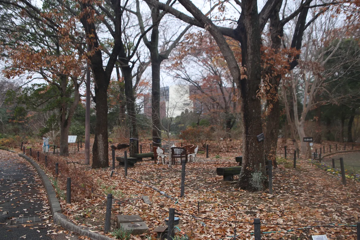 Toyohashi Zoo and Botanical Park