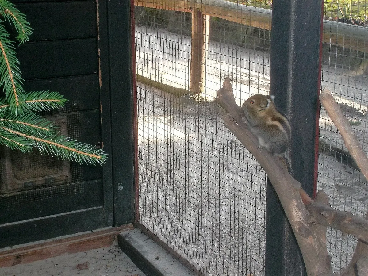 Zoo der Minis