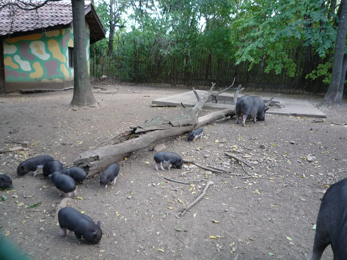 Lovech Zoo