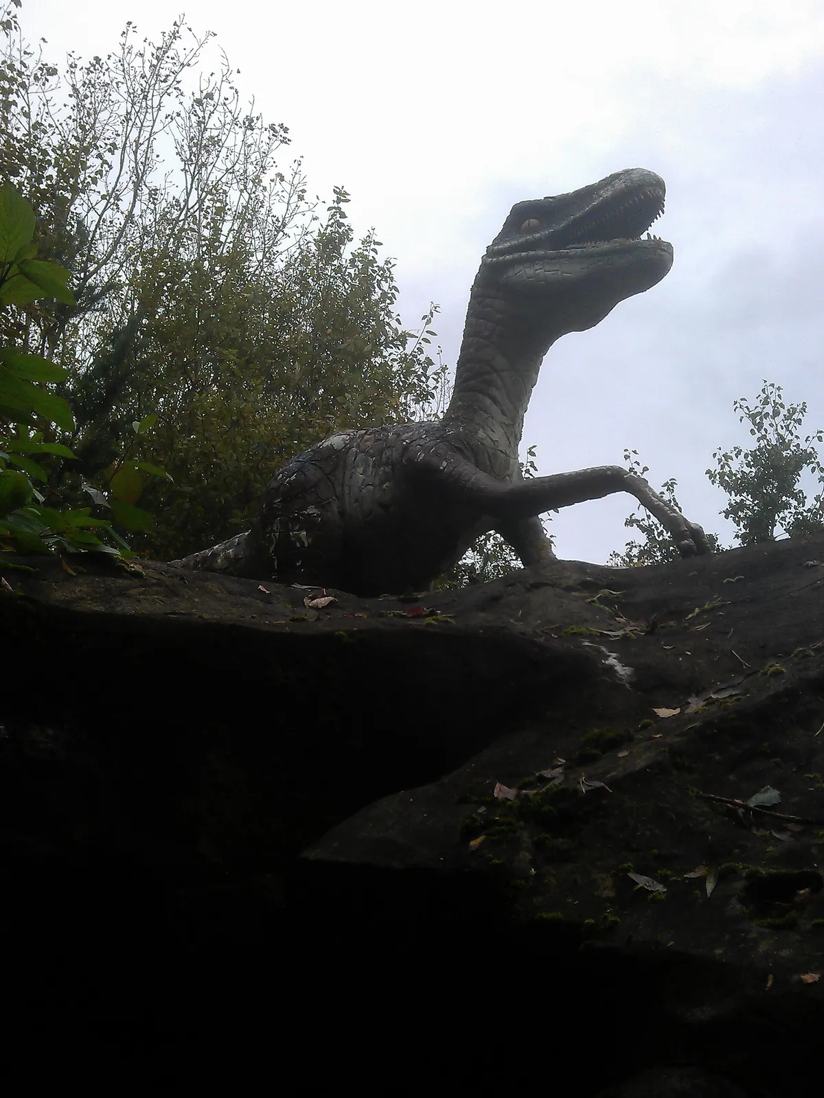 Blackpool Zoo