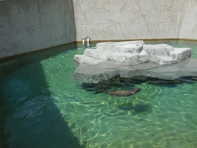 Miller Park Zoo