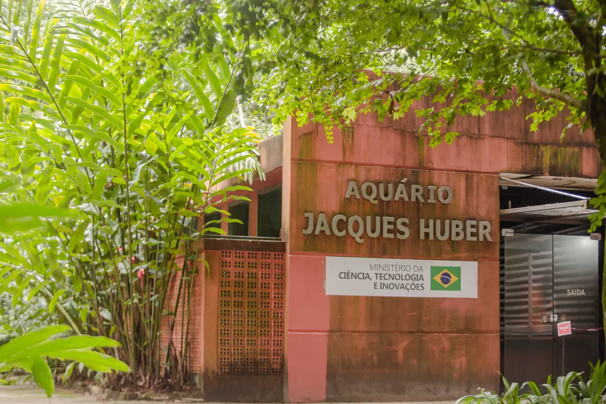 Jacques Huber Aquarium