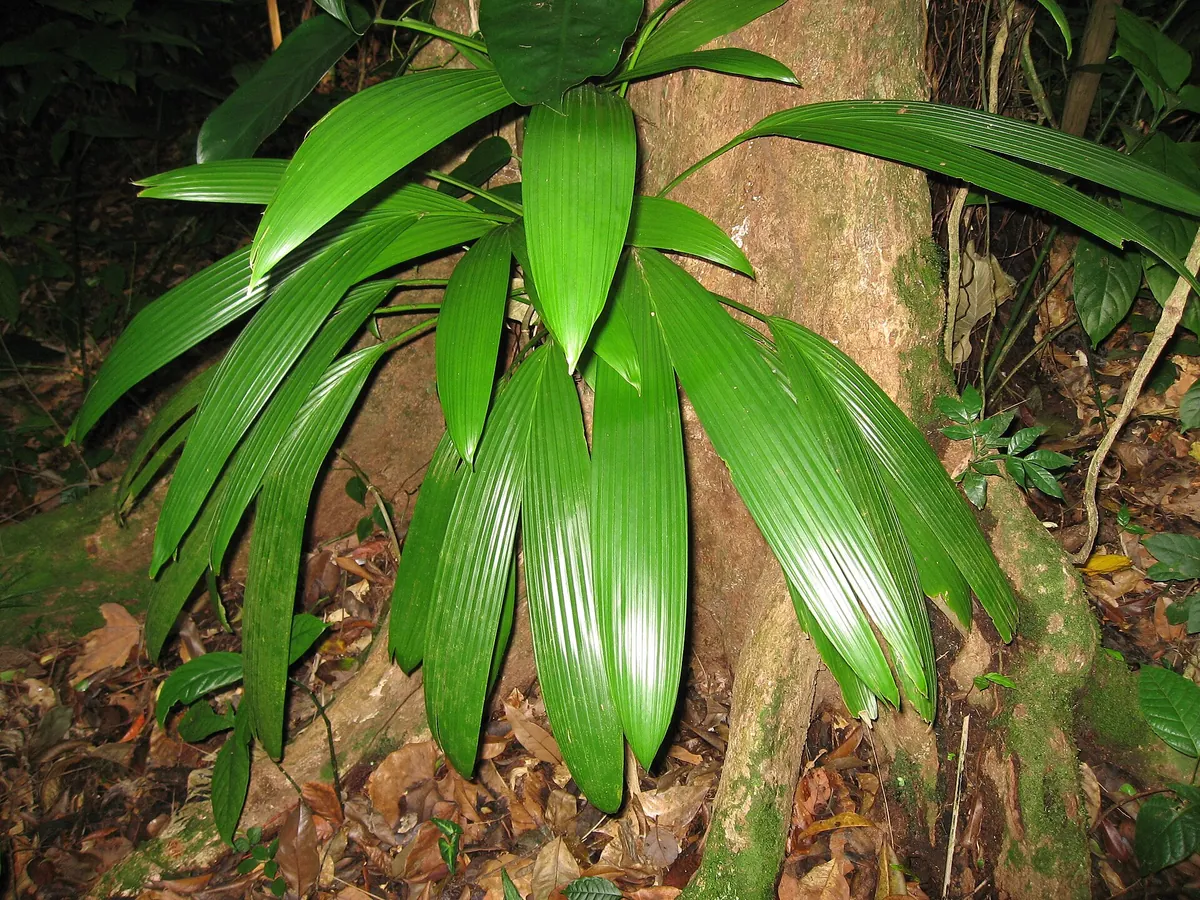 Guadeloupe zoo