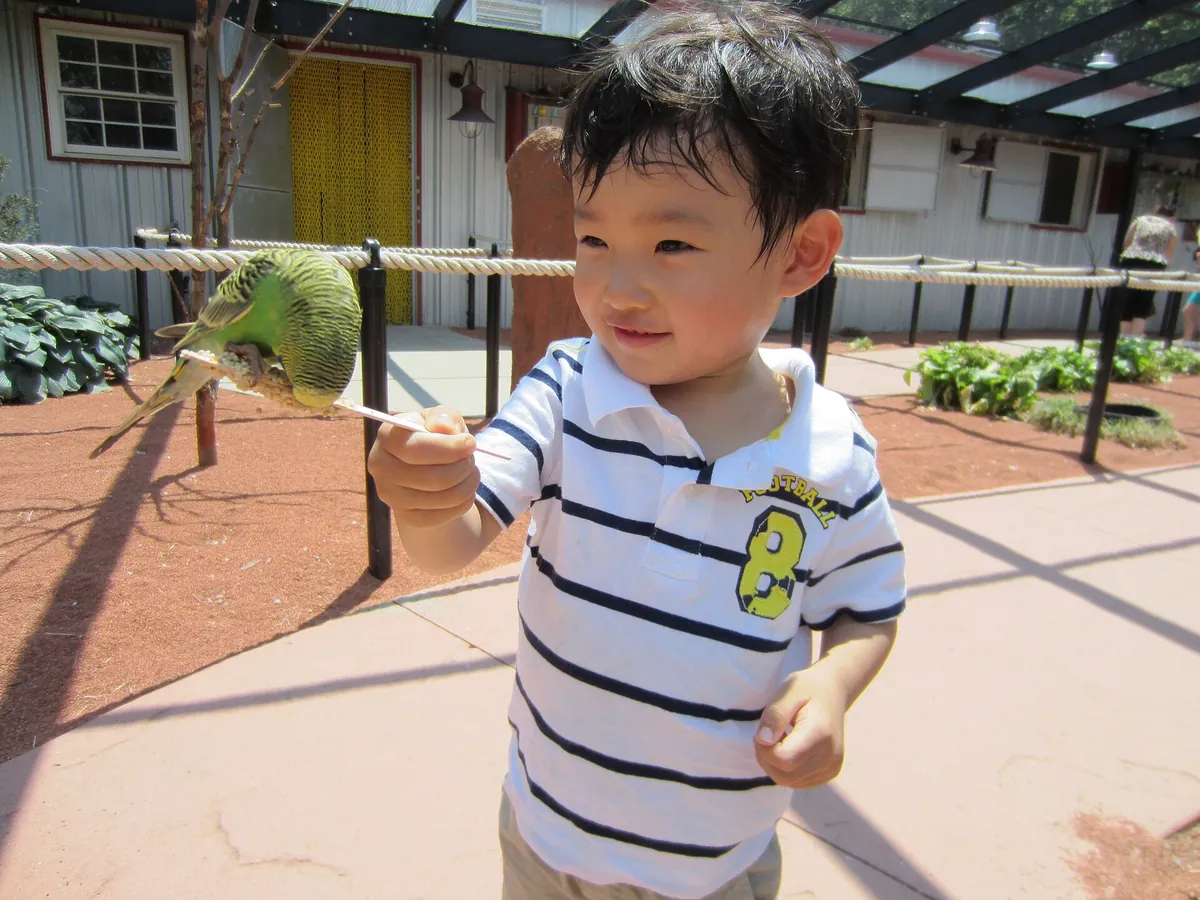 Turtle Back Zoo