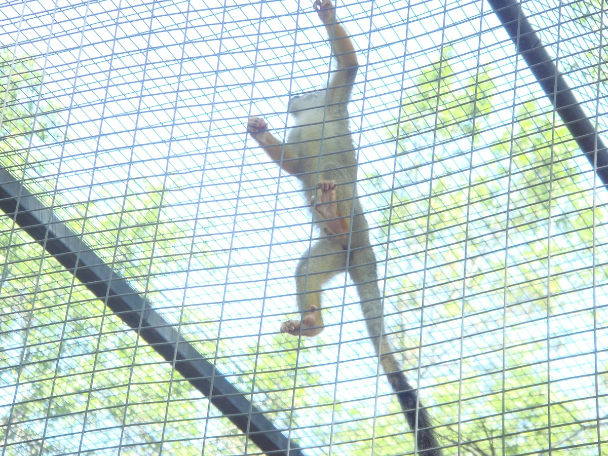 Riverviewpark Andzoo