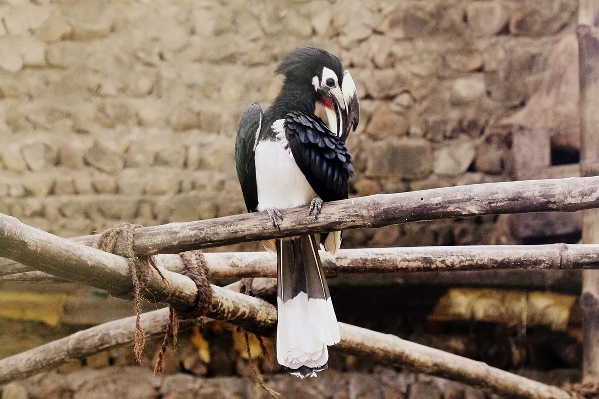 Nagaland Zoological Park