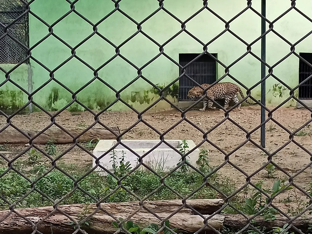 Kanan Pendari Zoo