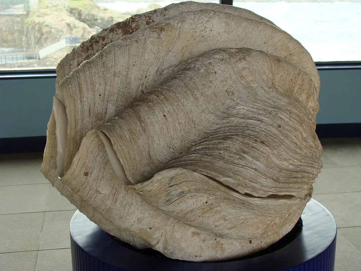 Aquarium Finisterrae