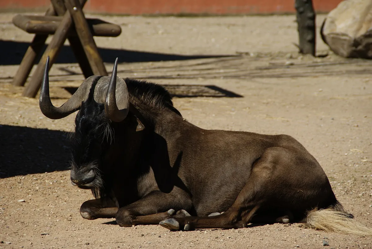 CENTRO DE CONSERVACIÓN ZOO CÓRDOBA