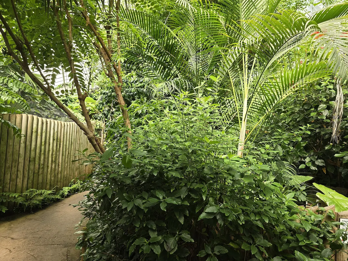 Paignton Zoo Environmental Park