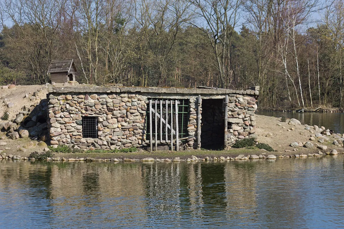 Johannismühle wildlife park