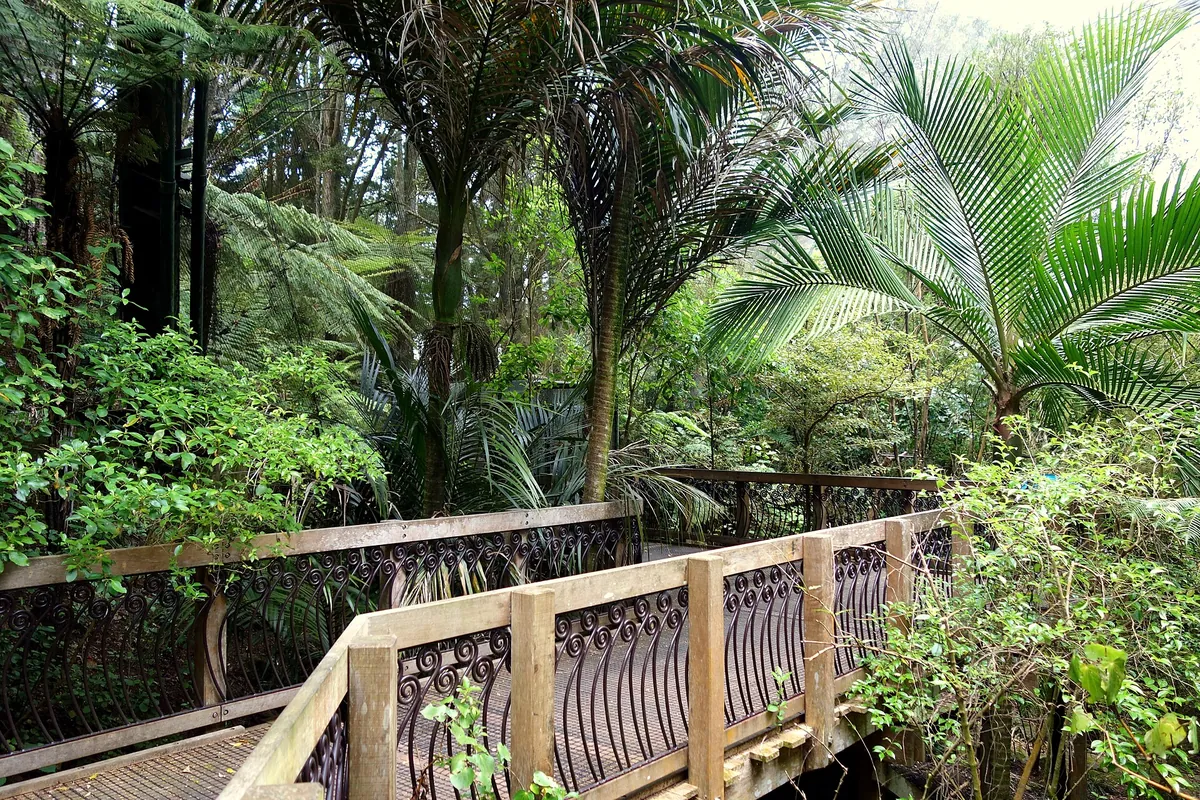 Auckland Zoo