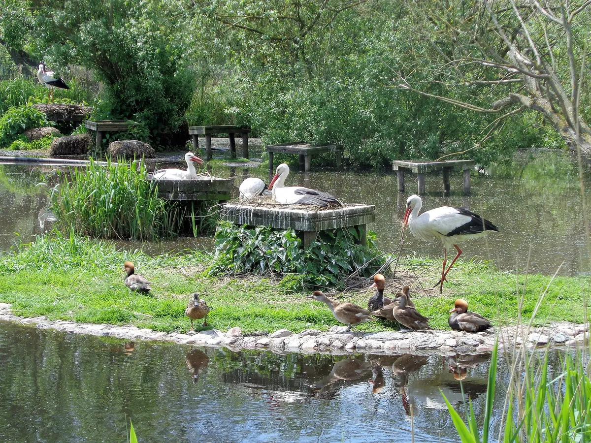 Vogelpark Niendorf
