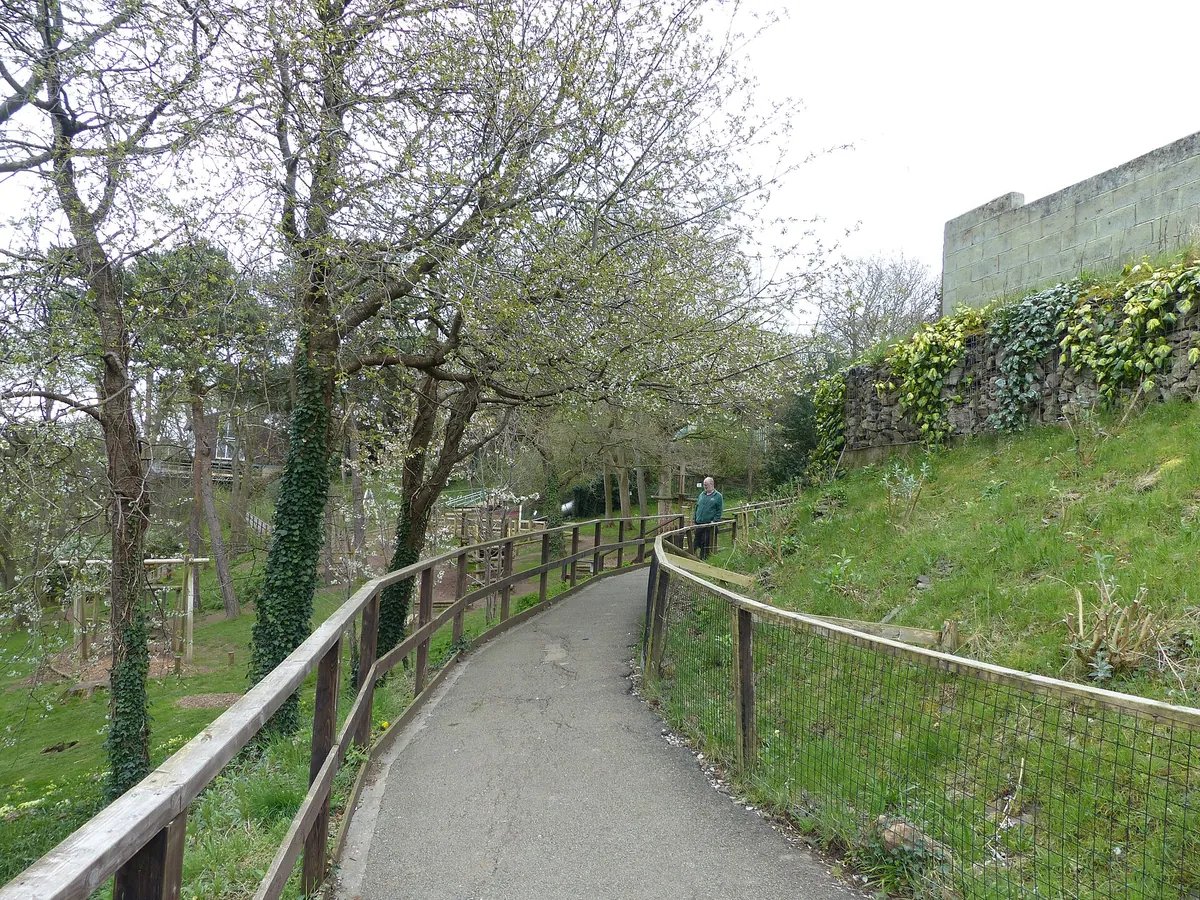 Welsh Mountain Zoo