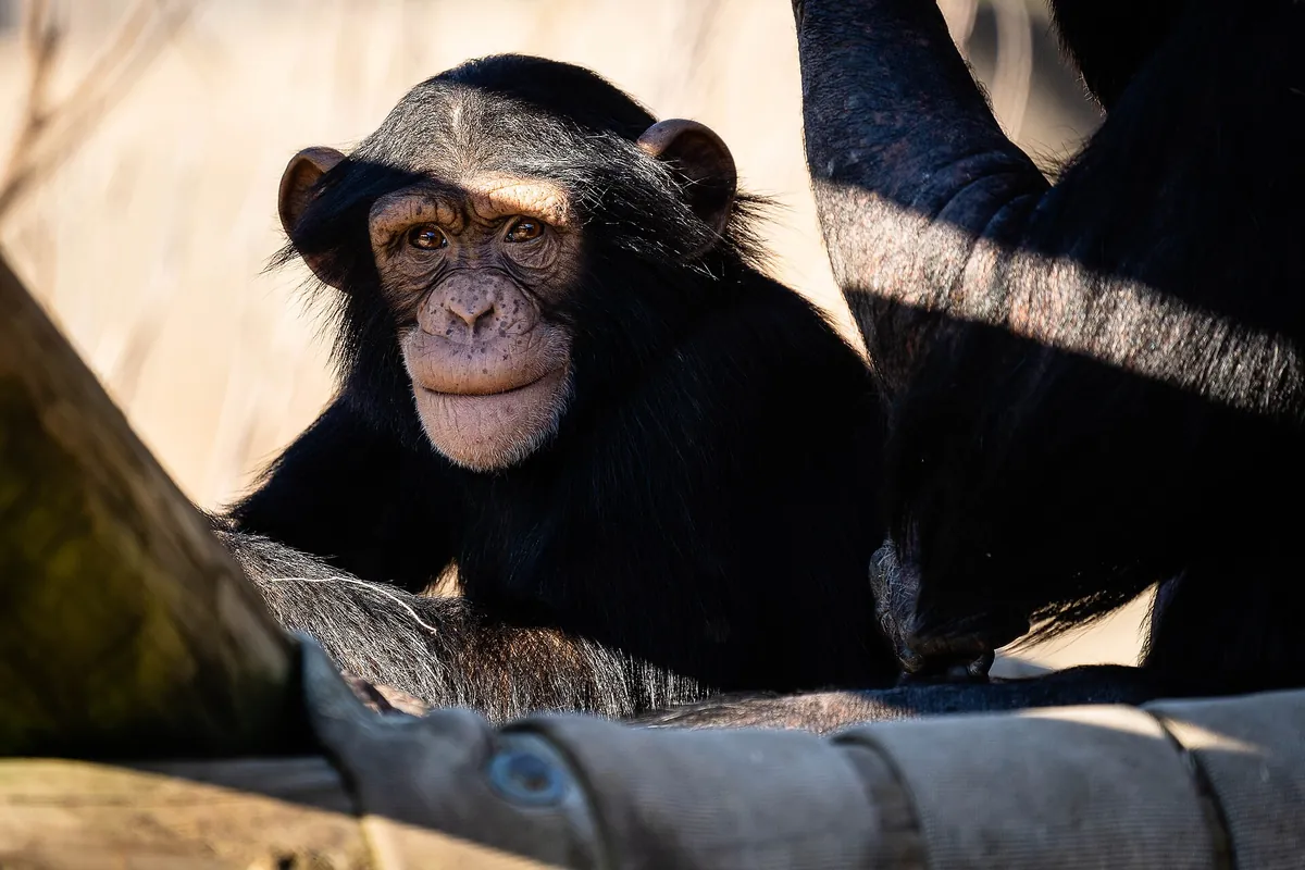 Little Rock Zoological Gardens
