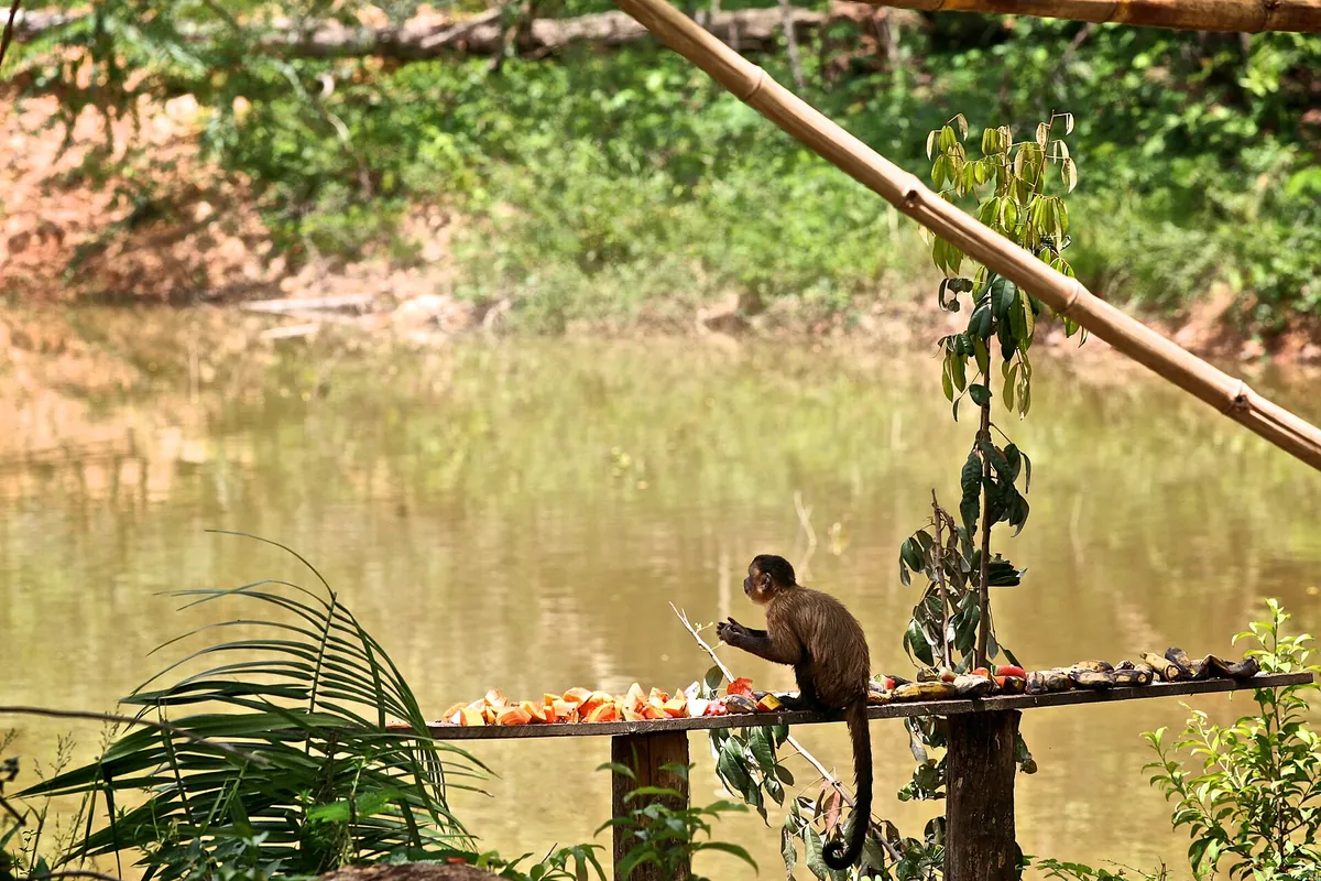 Parque Zoobotânico de Teresina