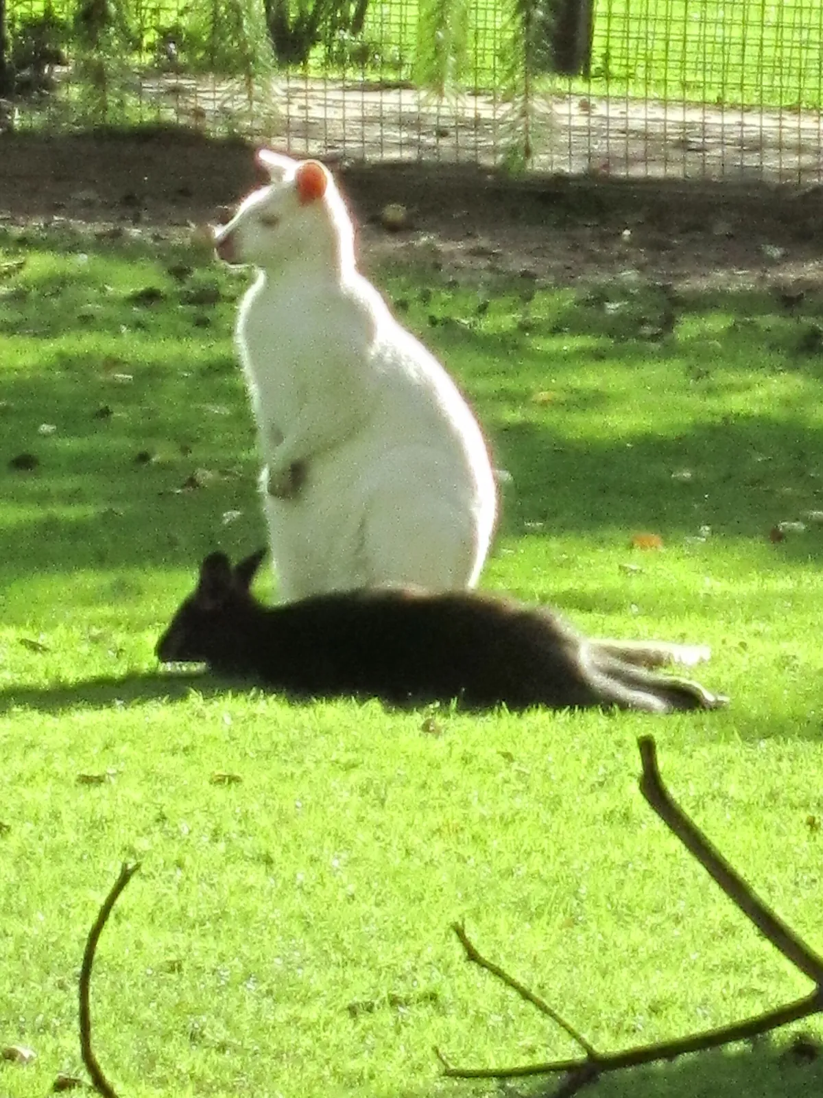 Wild- und Freizeitpark Ostrittrum