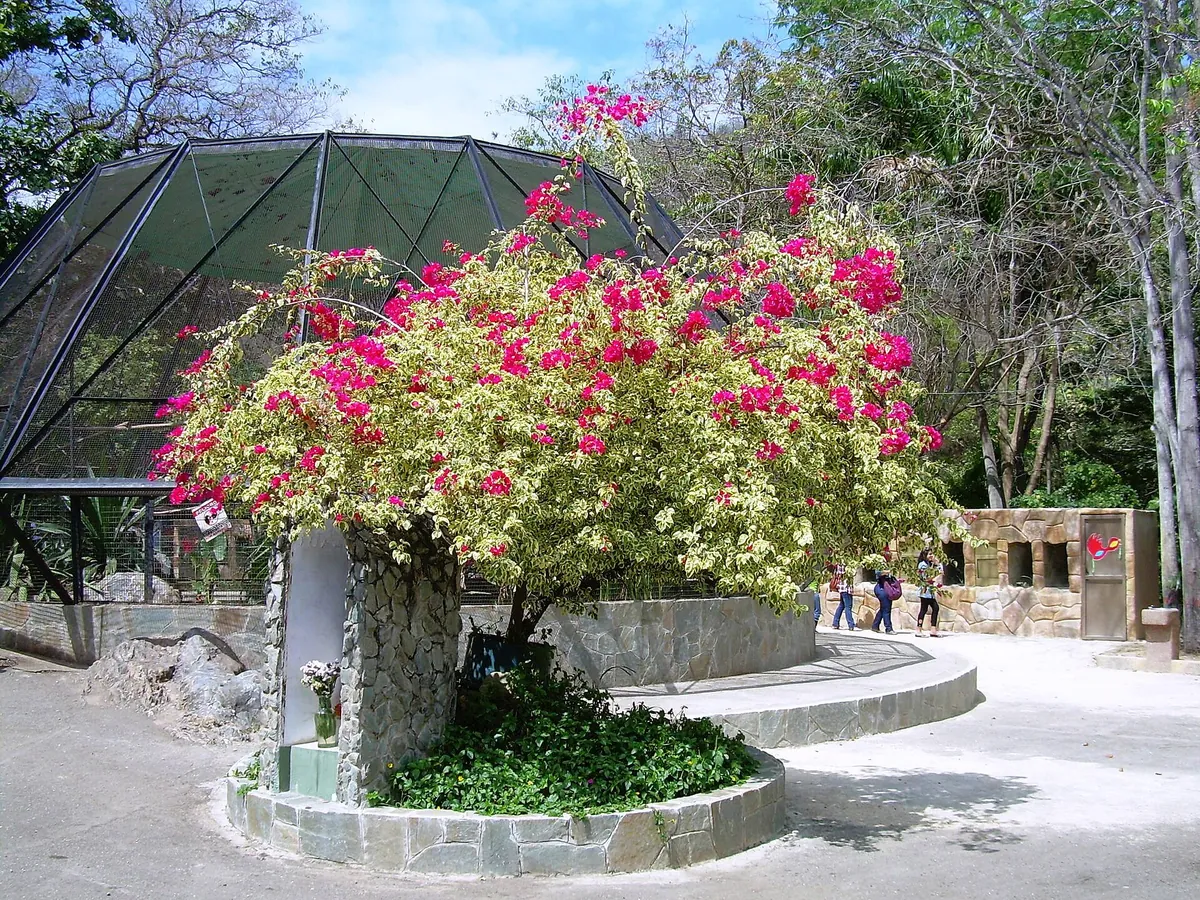 Valencia's Aquarium