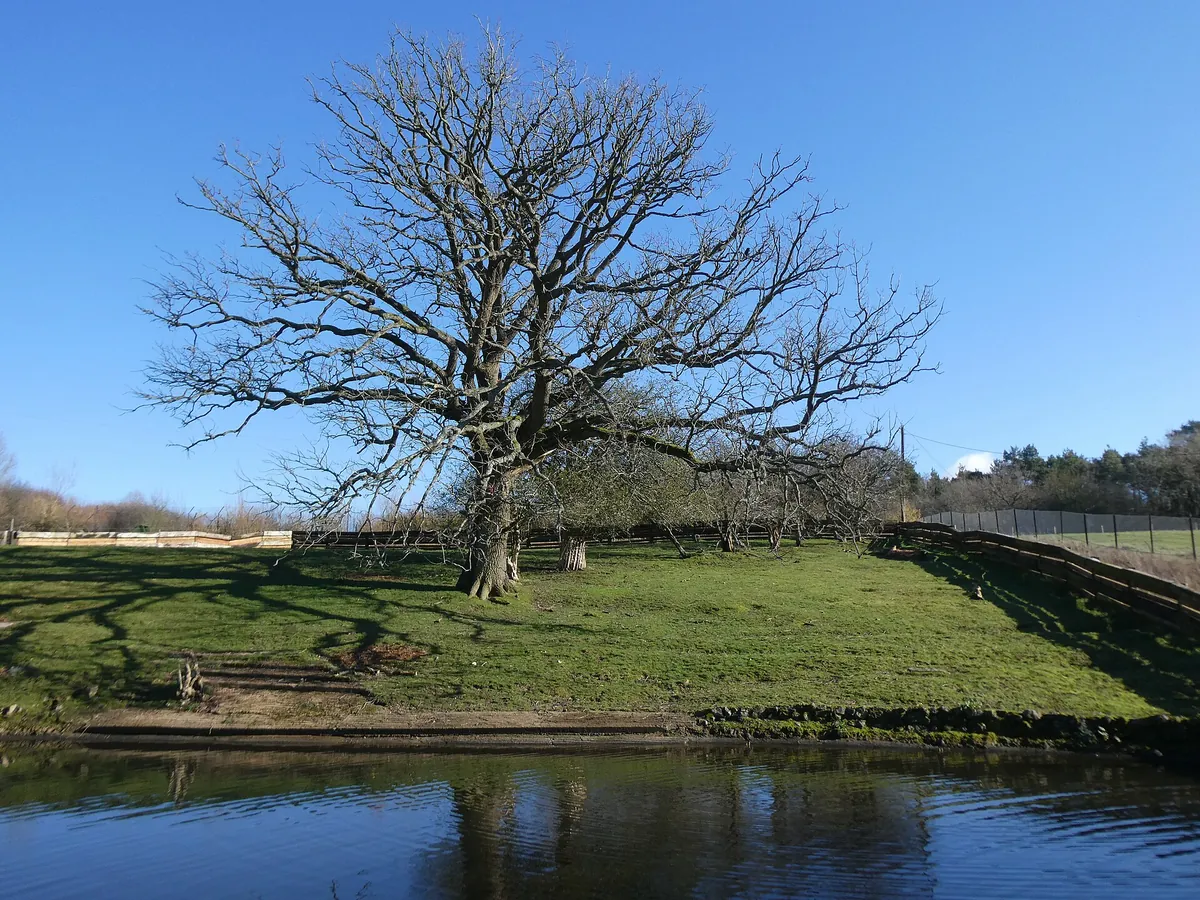 Whipsnade Zoo