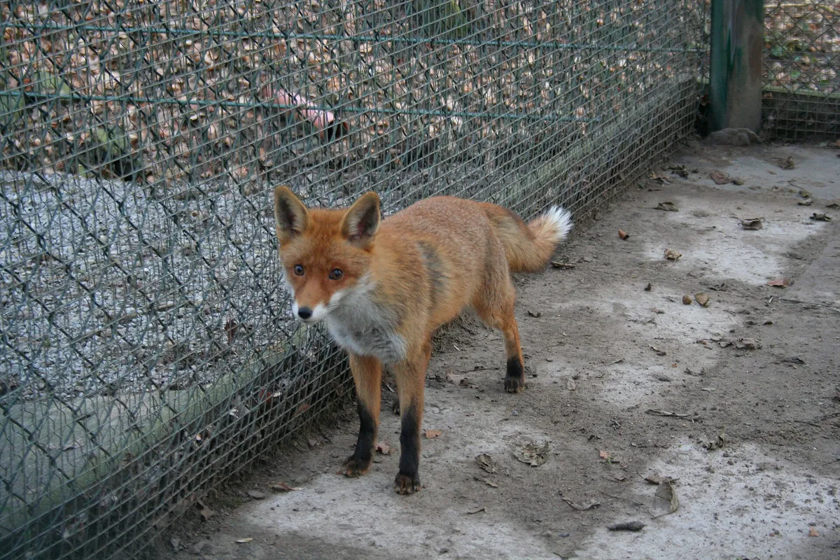 Tierpark Herford