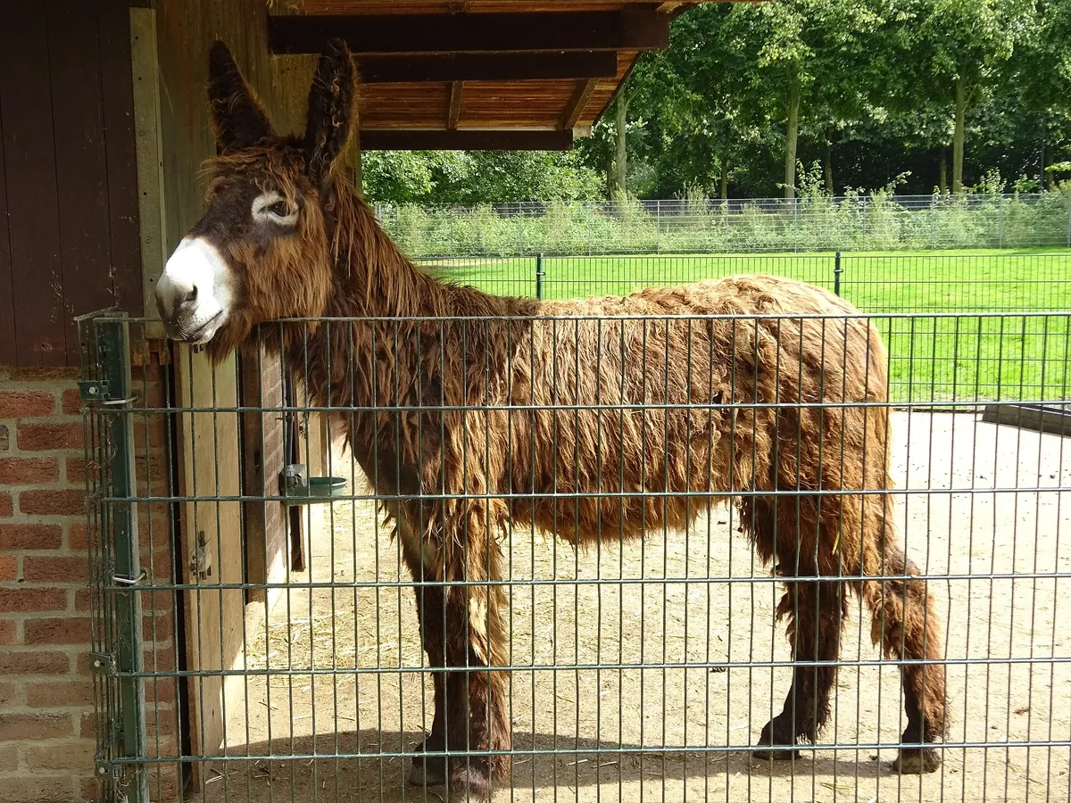 Tiergarten Kleve