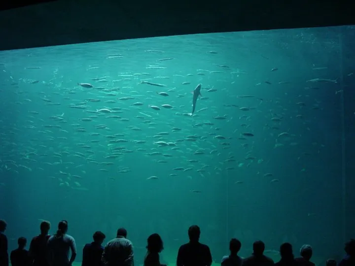 Nordsøen Oceanarium
