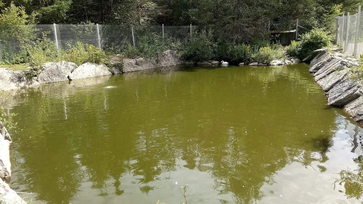 Zoo de Falardeau