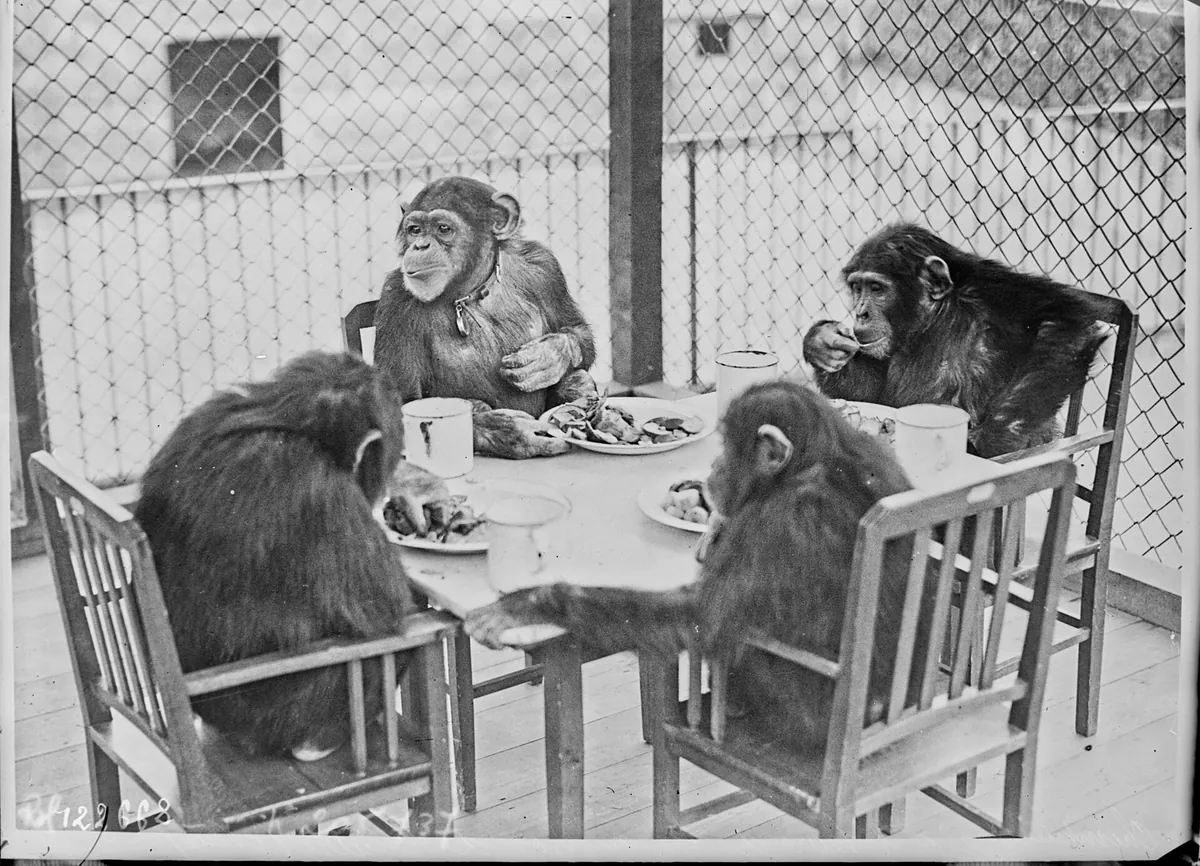 London Zoo