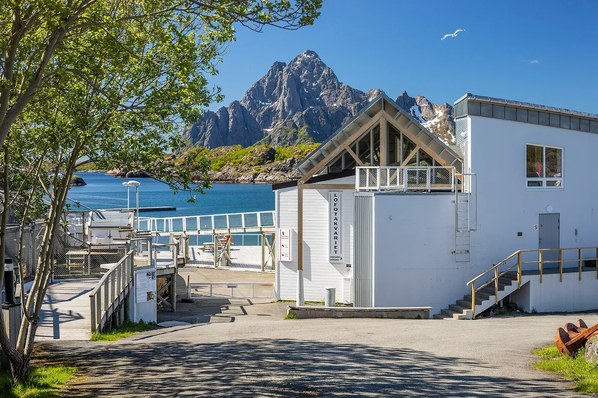 Lofotakvariet