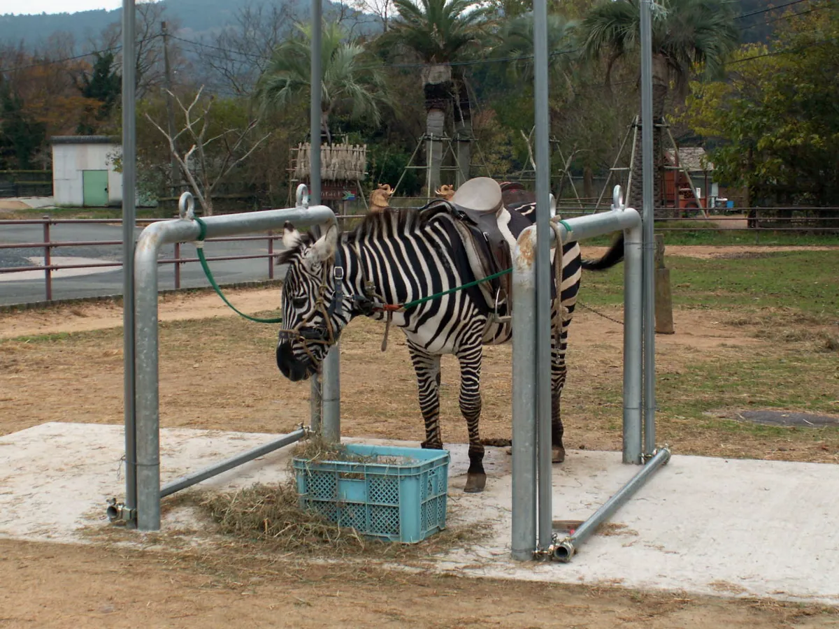 Akiyoshidai Safari Land