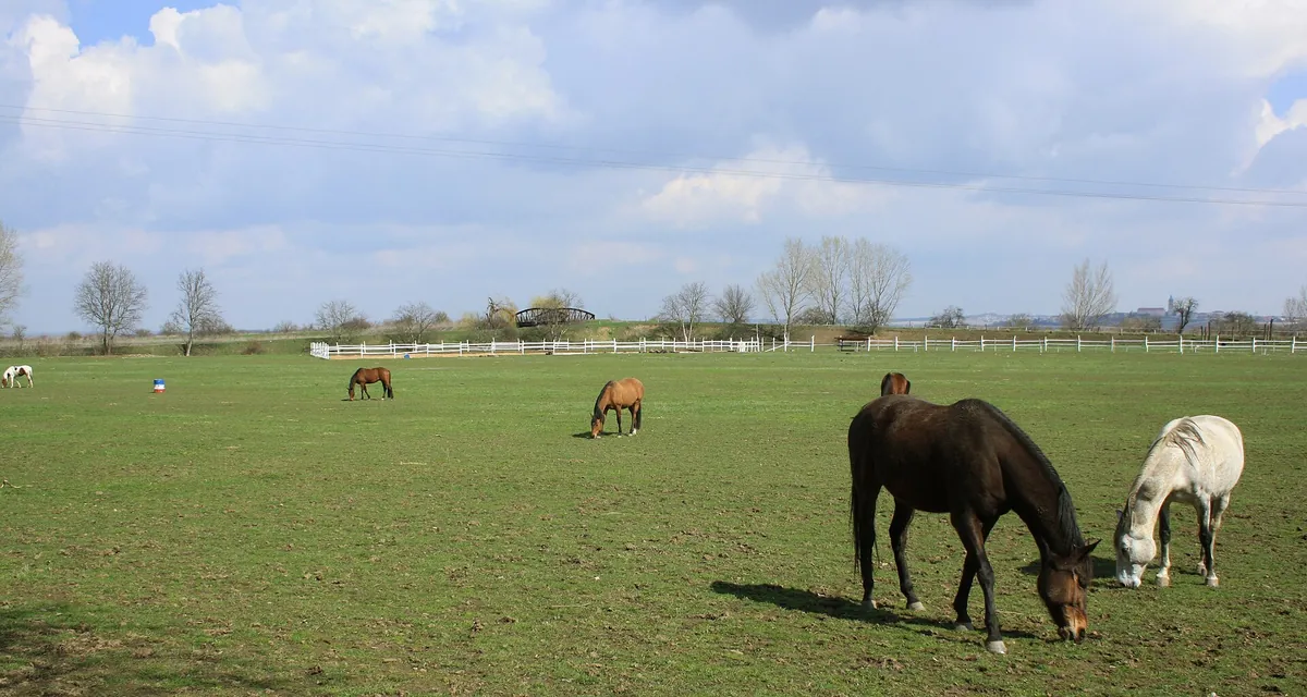 Zoopark Zelčín