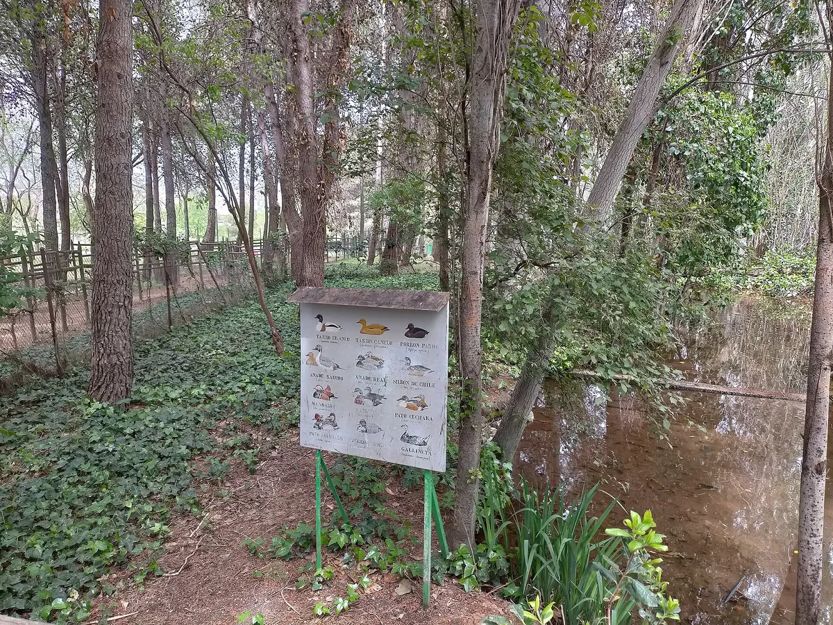 PARQUE ZOOLÓGICO DE GUADALAJARA