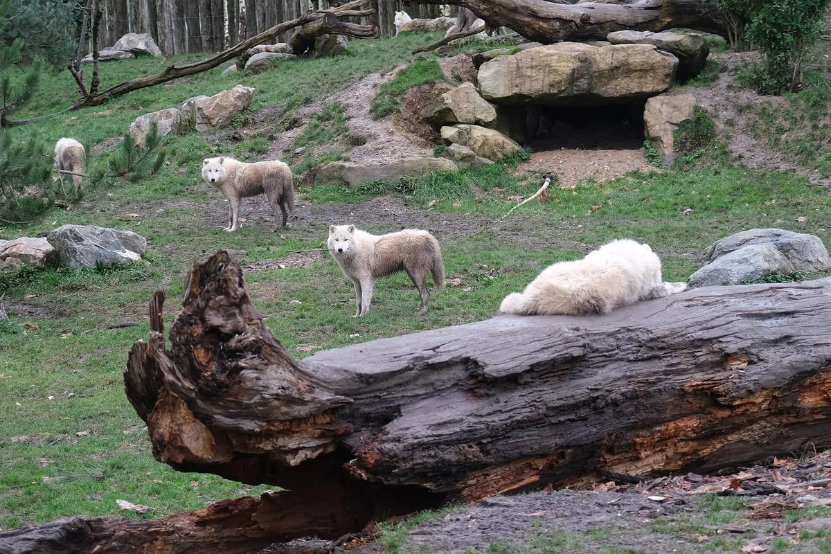 ZooParc de Beauval