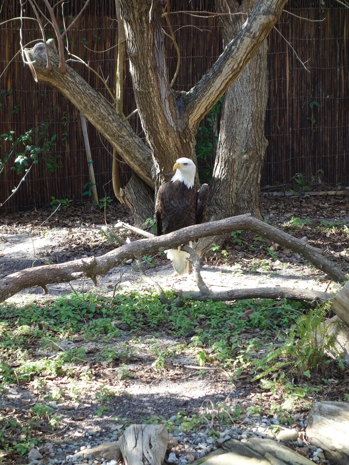 North Carolina Aquarium at Fort Fisher