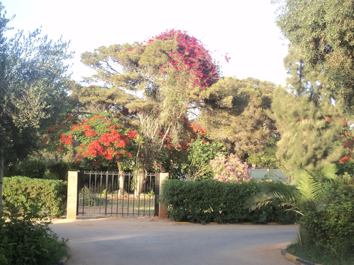 Benghazi Zoo