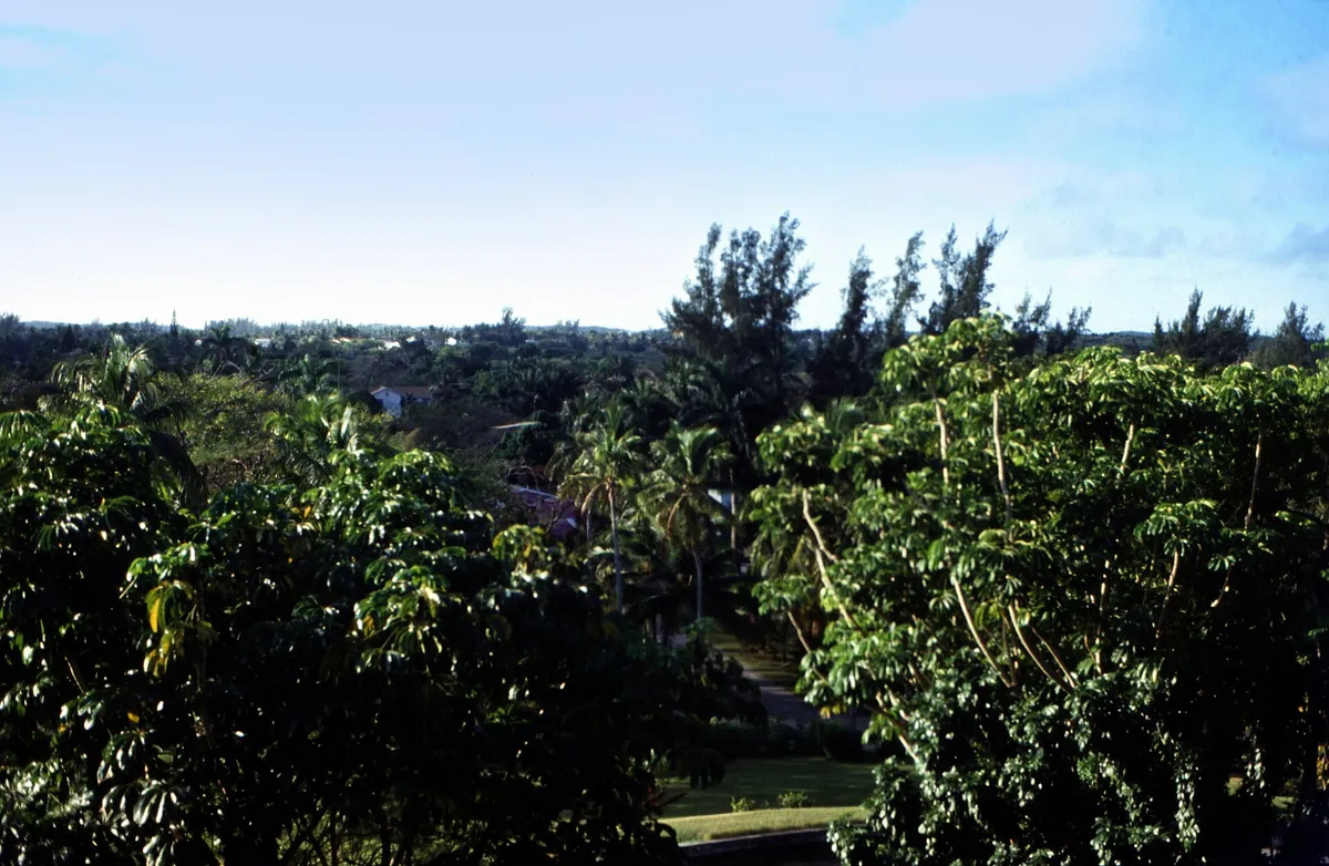 Ardastra Gardens, Zoo and Conservation Centre