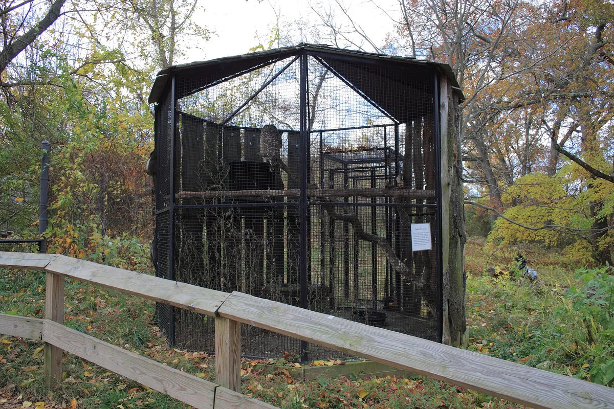 Connecticut's Beardsley Zoo
