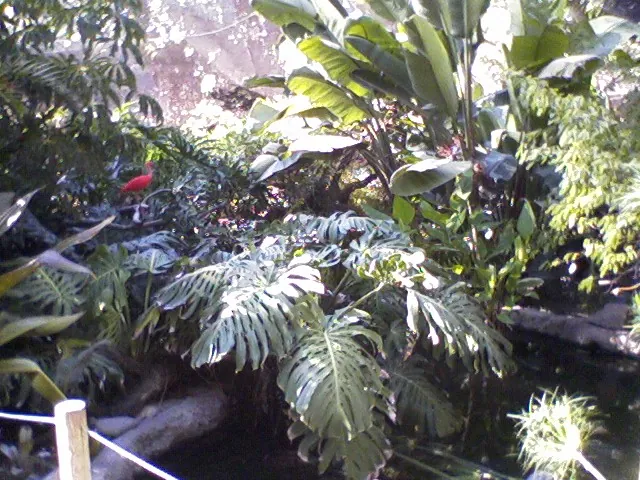 Santa Ana Zoo