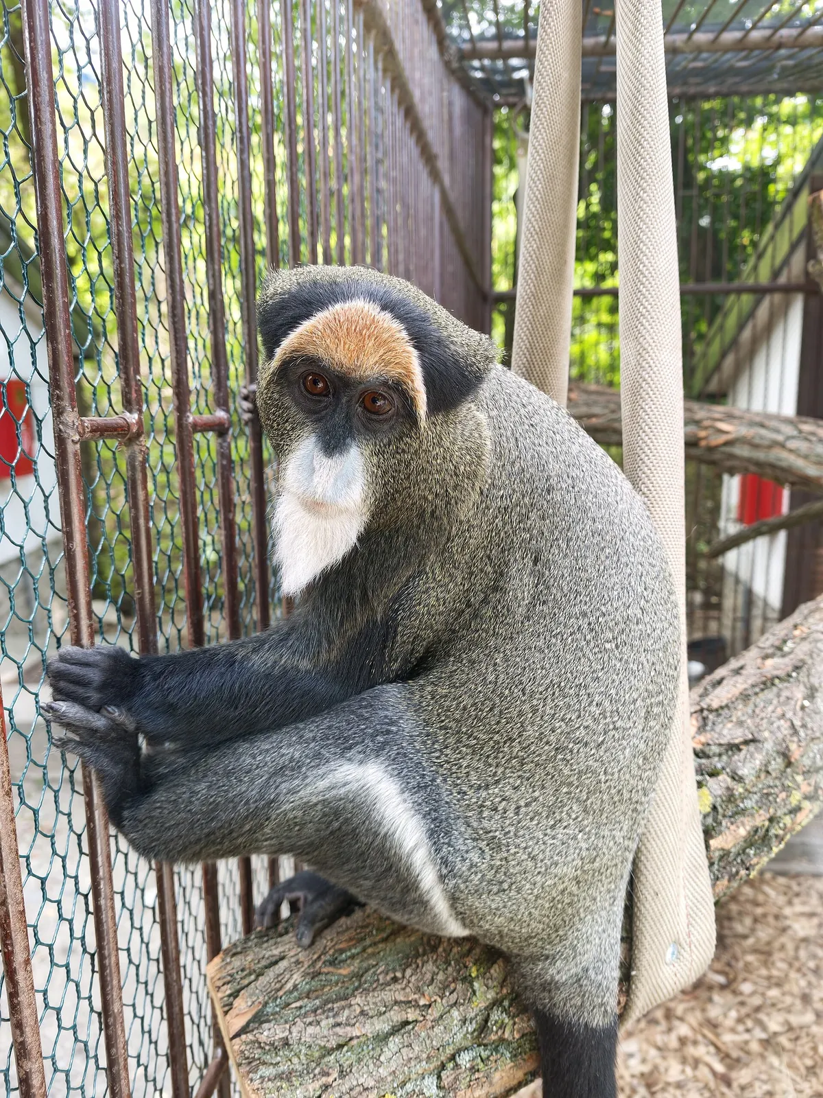 Bratislava Zoo
