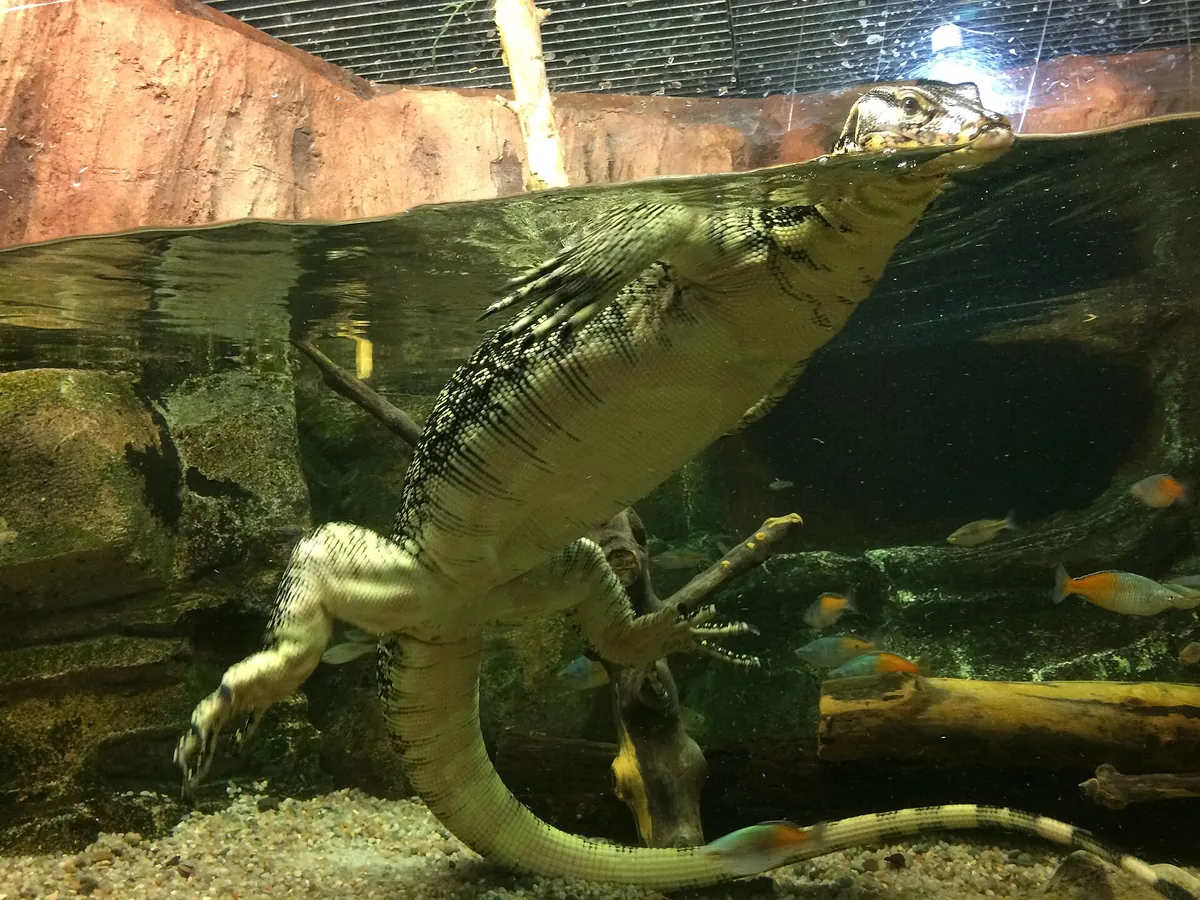 Aquarium River of Zaragoza