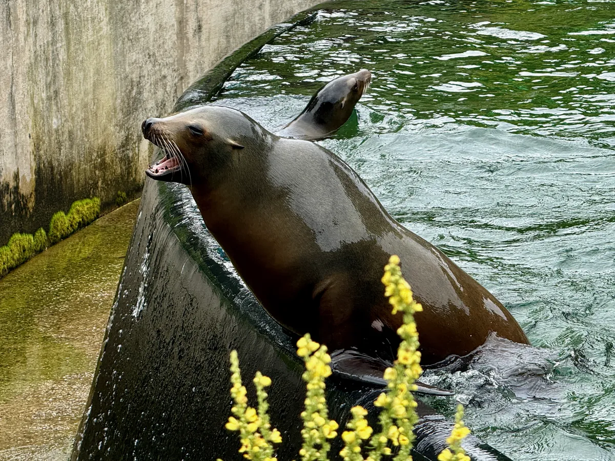 Prospect Park Zoo