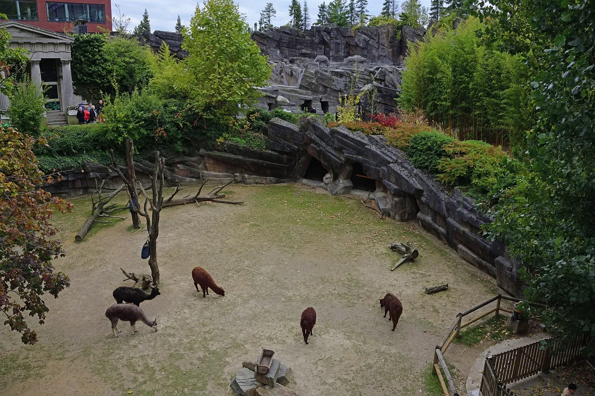 Antwerp Zoo