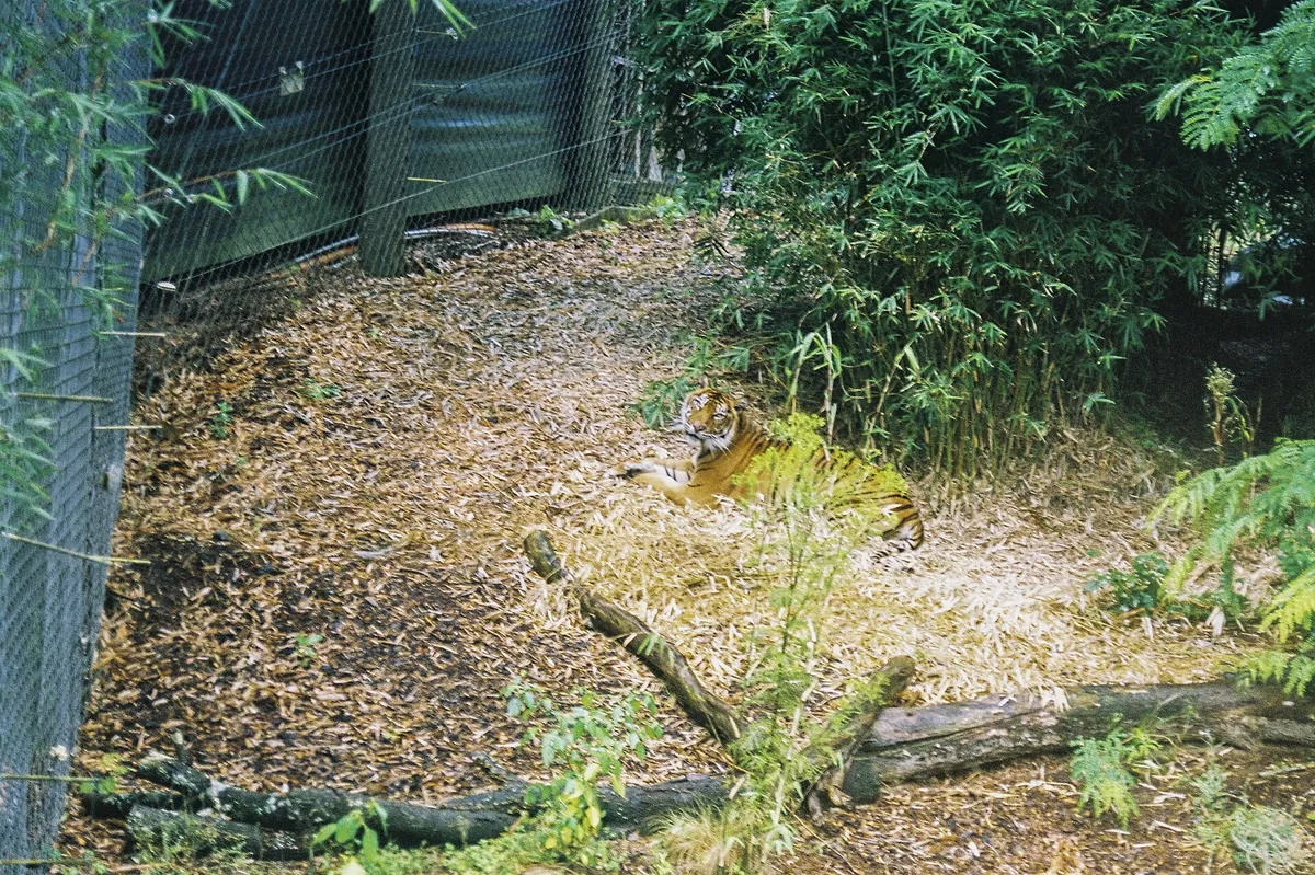 Hamilton Zoo