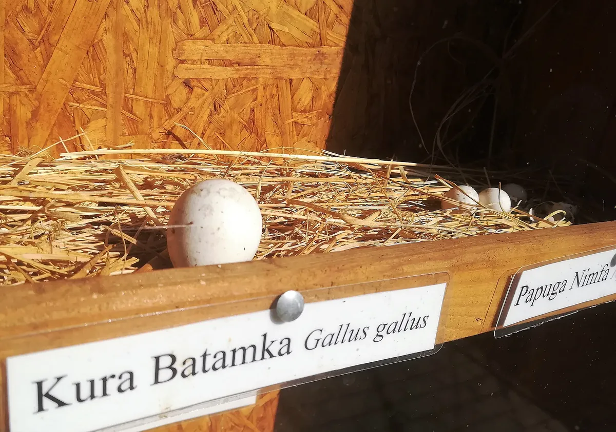 Zoo Nowy Tomyśl