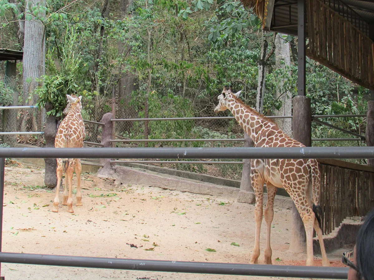 Emperor Valley Zoo