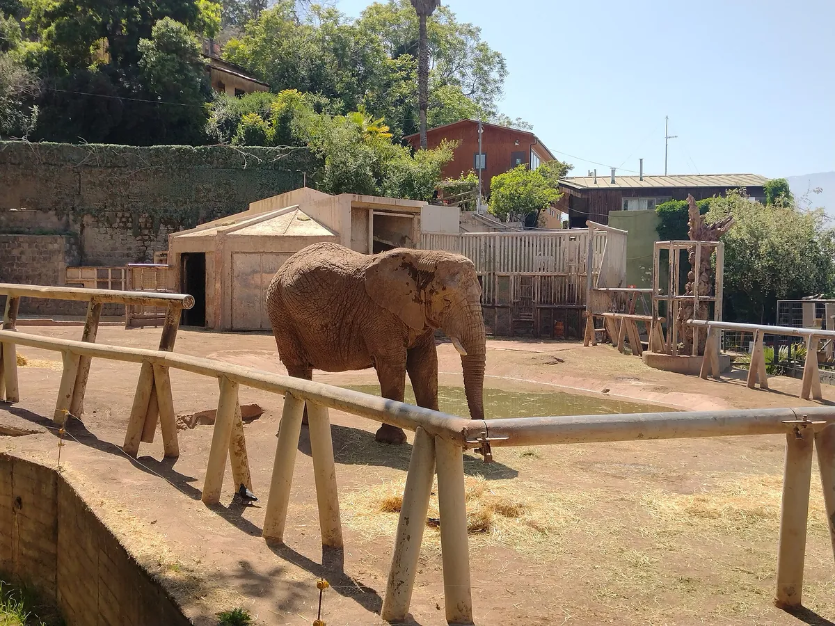 Zoológico Nacional, Parque Metropolitano de Santiago